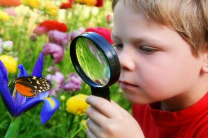 The Power of Curiosity in Learning
