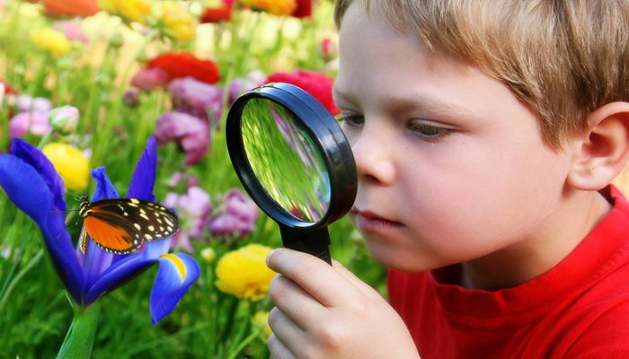 The Power of Curiosity in Learning